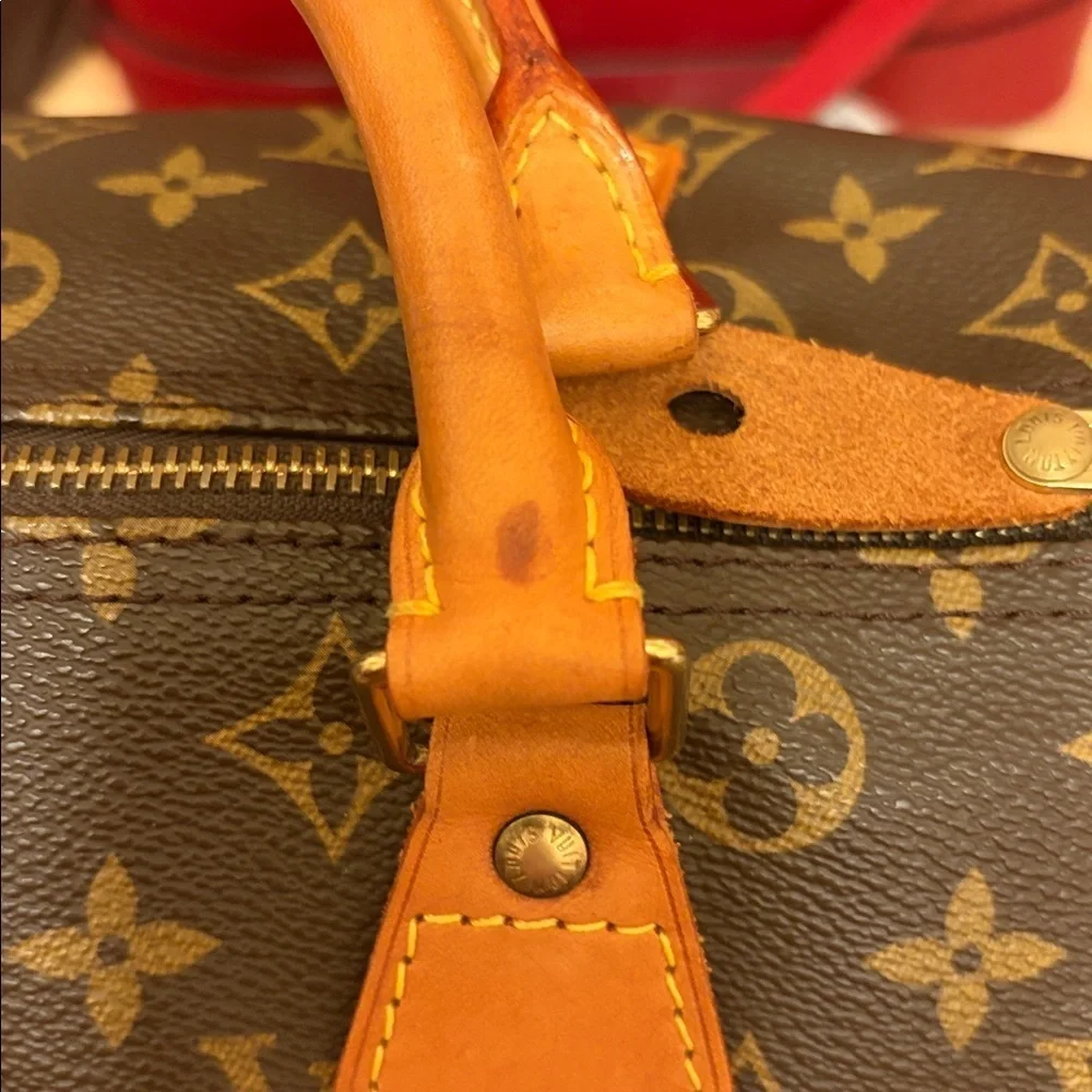 Louis Vuitton iconic speedy